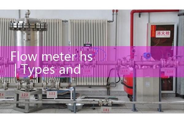 Flow meter hs